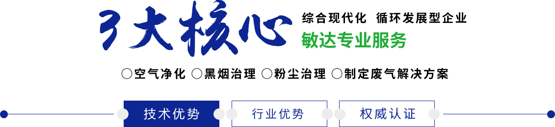 吃鸡吧黄色视频日韩敏达环保科技（嘉兴）有限公司